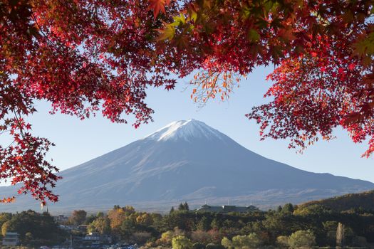 This photo was shot from the area around Mt.Fuji in Autumn. It is time to start snow cap on the top of Mt.Fuji and maple leaves change to autumn color. There are 5 lakes around Mt.Fuji.