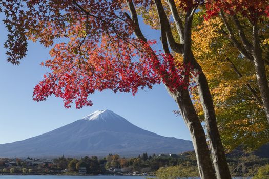 This photo was shot from the area around Mt.Fuji in Autumn. It is time to start snow cap on the top of Mt.Fuji. There are 5 lake around Mt.Fuji.