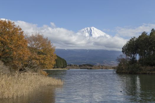 This photo was shot from the area around Mt.Fuji in Autumn. It is time to start snow cap on the top of Mt.Fuji. There are 5 lake around Mt.Fuji.