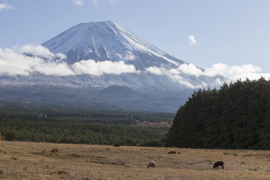 This photo was shot from the area around Mt.Fuji in Autumn. It is time to start snow cap on the top of Mt.Fuji. There are 5 lake around Mt.Fuji.