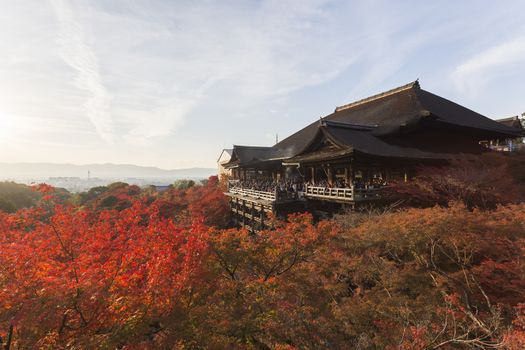 This photo was shot from Kiyomizu Temple in Kyoto, Japan. The maple leaves change to autumn color and the soft sunlight in the evening is so beautiful.