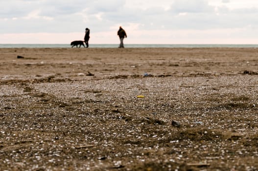 couple of guys in a public beach with dog in a winter morning