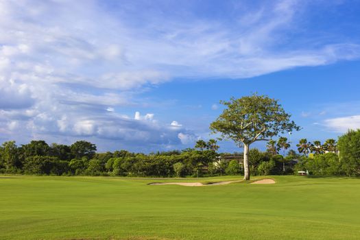 Beautiful View of Green Golf Field with Blue Sky.