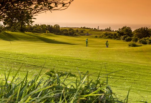 Beautiful View of Green Golf Field with Blue Sky.