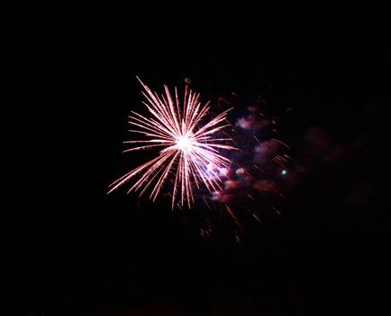 Celebration firework in the black night sky