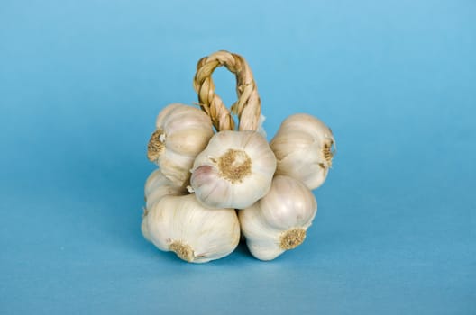  healthy garlic vegetable bulb bunch on blue background