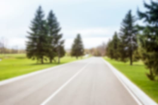 blurred road going to horizon among fields and fir-trees