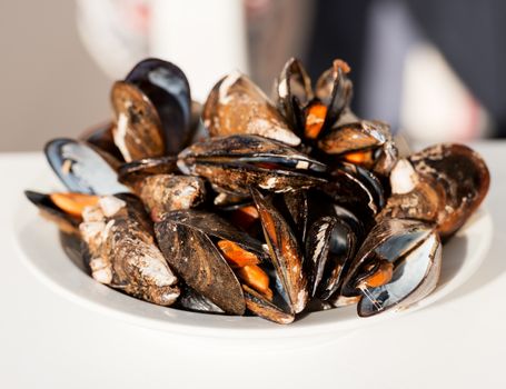 Dish of gourmet mussels garnished with fresh herbs for a tasty seafood meal