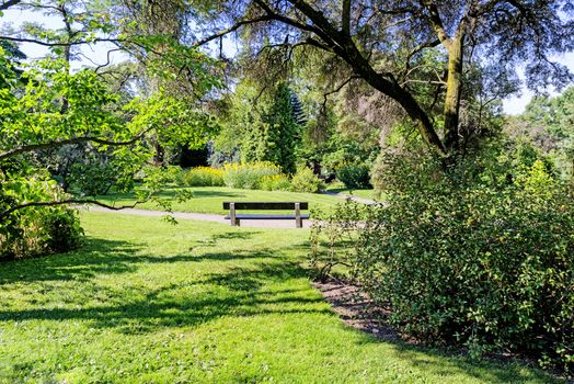 Empty bench at city park