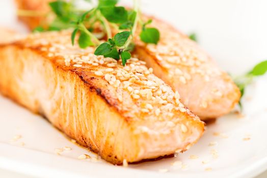 Grilled salmon, sesame seeds  and marjoram on white plate. Studio shot