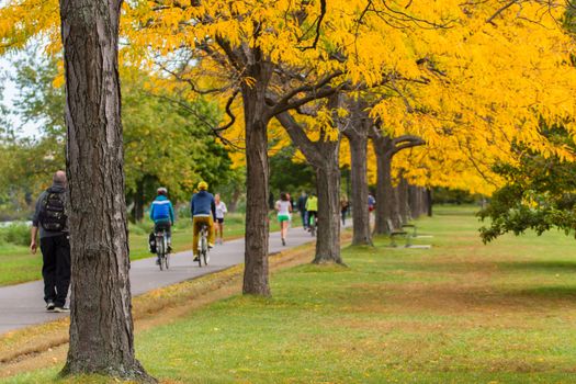 Boston in autumn, USA