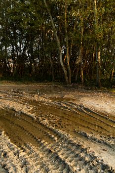 Dirty broken rural road with deep tire tracks