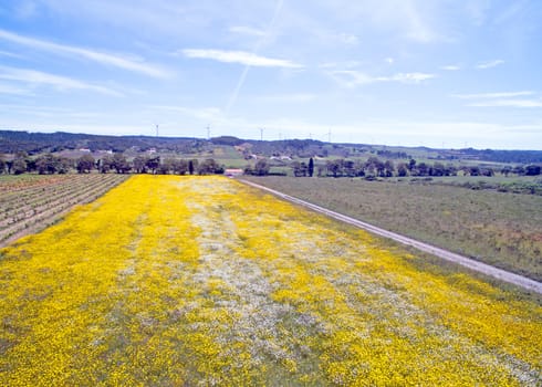 Aerial spring landscape in Portugal
