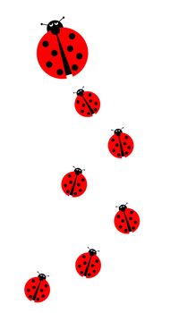 Background image with many different sized ladybugs on white background.