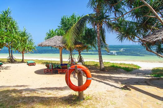 palm tree on the ocean beach. Kenya