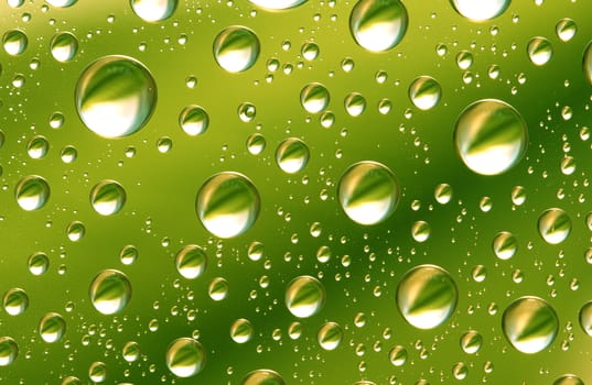 water drops with the reflection of a leaf