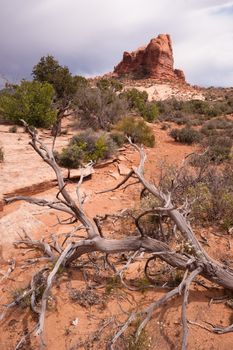 A vertical compostion of rock buttes before it rains in the Utah Wilds