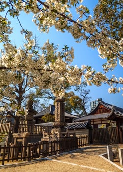 Japanese temple in Osaka