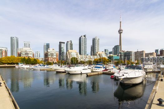 This photo was shot from Toronto city in autumn.