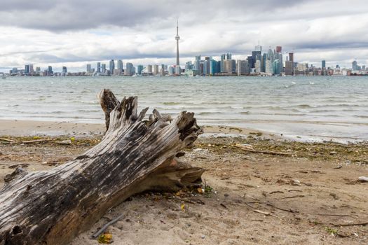 This photo was shot from snake island which is opposite to Toronto city. The leaves of trees change color.