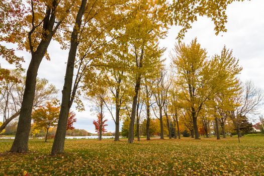 This photo was shot from Ottawa in autumn, Canada.