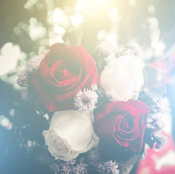 Beautiful roses flowers in soft style.Floral background and Valentine background.