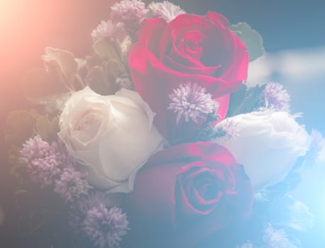 Beautiful roses flowers in soft style.Floral background and Valentine background.