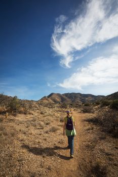 Rear view of hiker on Cochise desert mountain