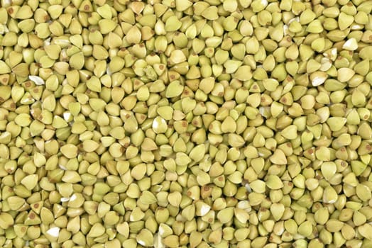 Close-up of  buckwheat  seeds to use as background 