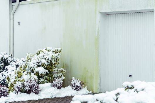 Algae on house wall by caused  insulation