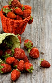 Fresh Ripe Forest Strawberries in Two Wicker Baskets closeup on Rustic Wooden background