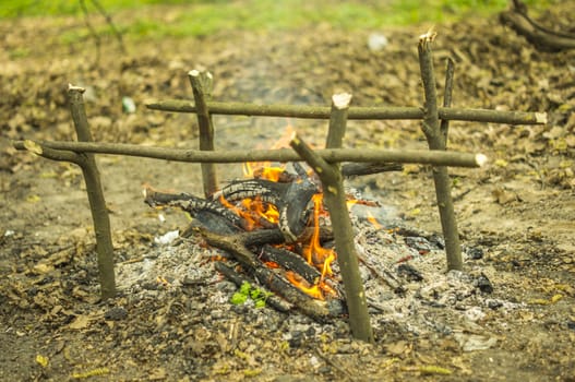 Closeup of bonfire in the wood. For your commercial and editorial use