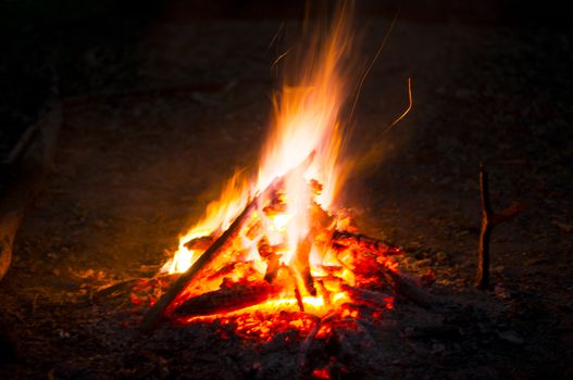 Flames of a campfire in the night. For your commercial and editorial use.