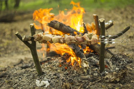 Process of preparation of a shish kebab, from uncooked to the cooked