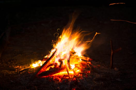 Flames of a campfire in the night. For your commercial and editorial use.