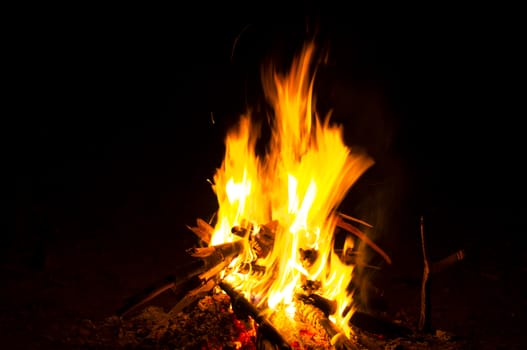 Flames of a campfire in the night. For your commercial and editorial use.