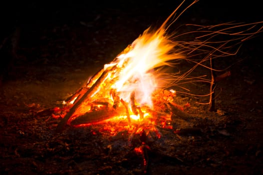 Flames of a campfire in the night. For your commercial and editorial use.