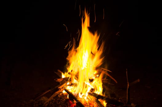Flames of a campfire in the night. For your commercial and editorial use.