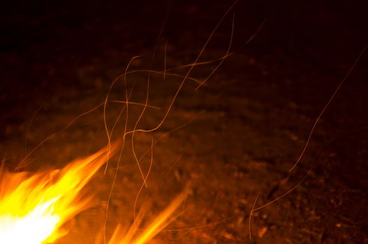 Flames of a campfire in the night. For your commercial and editorial use.