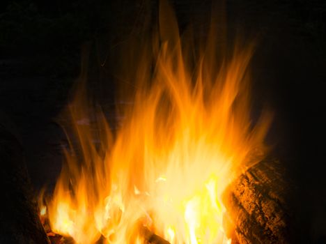 Flames of a campfire in the night.