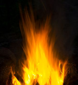 Flames of a campfire in the night.