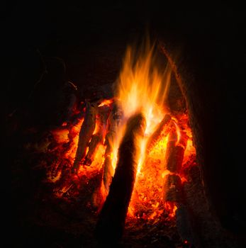 Flames of a campfire in the night.