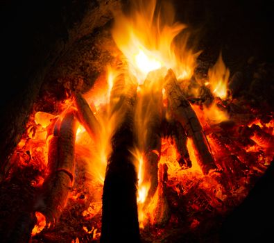 Flames of a campfire in the night.