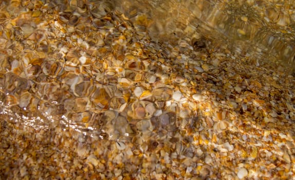 Pebbles, corals and sand under water. For your commercial and editorial use.