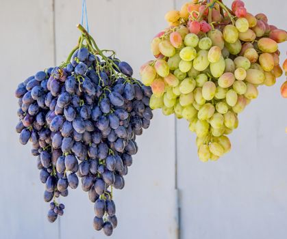 green and blue grapes . For your commercial and editorial use.