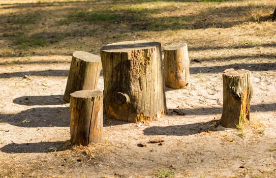 Stumps used as table and chairs outside in the garden. For your commercial and editorial use.