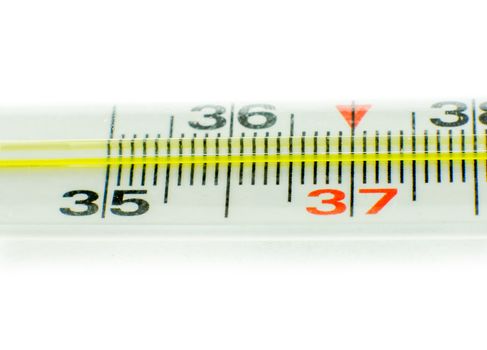 Medical thermometer isolated on the white background. For your commercial and editorial use.