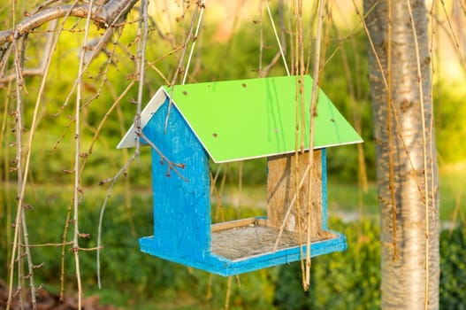 Green wooden bird nest box. For your commercial and editorial use.