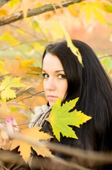 beautiful and sexy girl sitting on bench outdoors. 