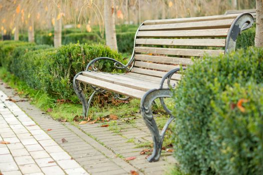bench in the autumn park. For your commercial and editorial use.